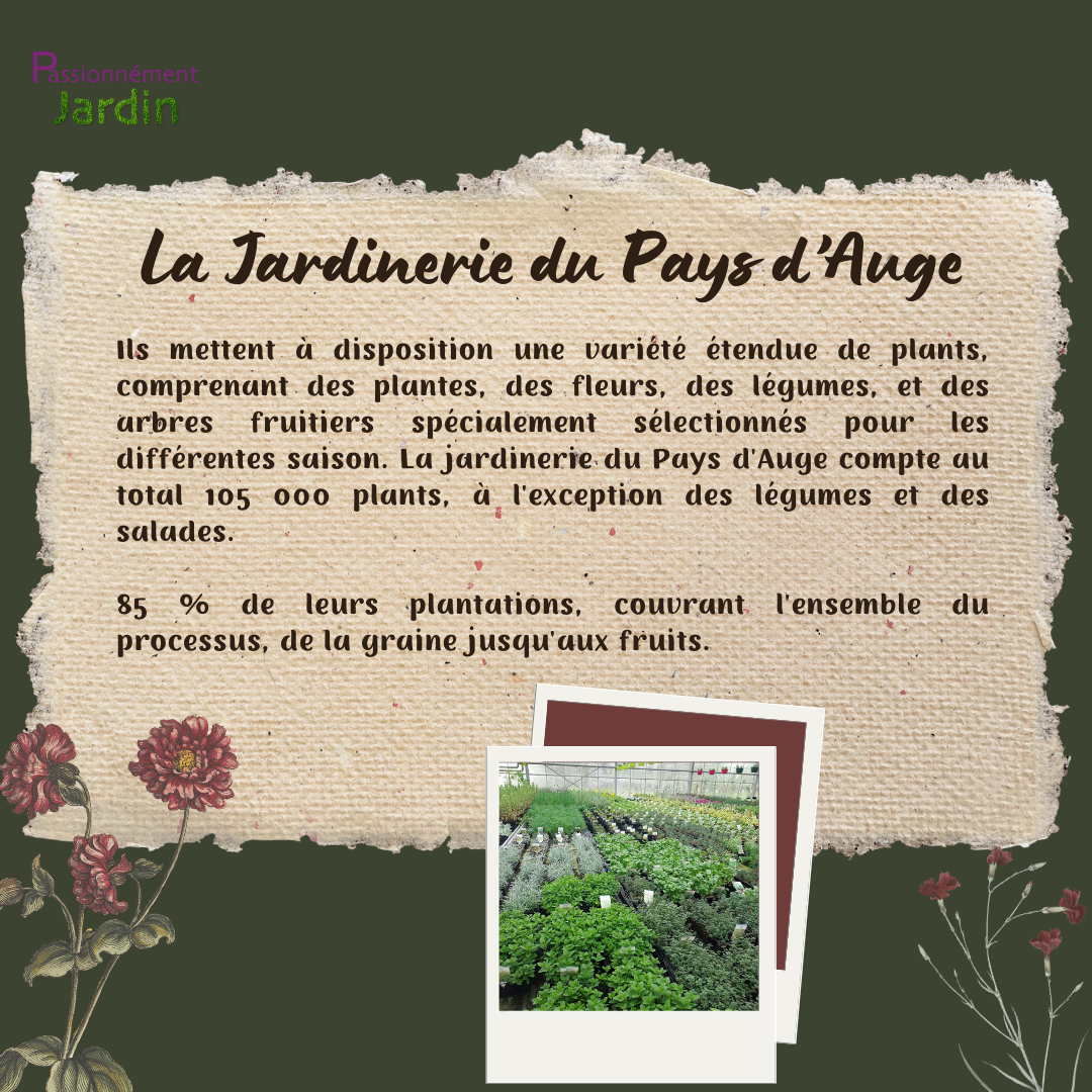 La-Jardinerie-du-Pays-d-Auge