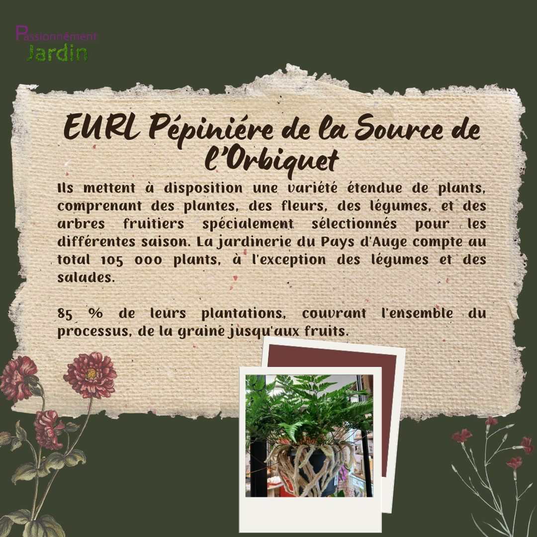 EURL-Pepiniere-de-la-Source-de-l-Orbiquet