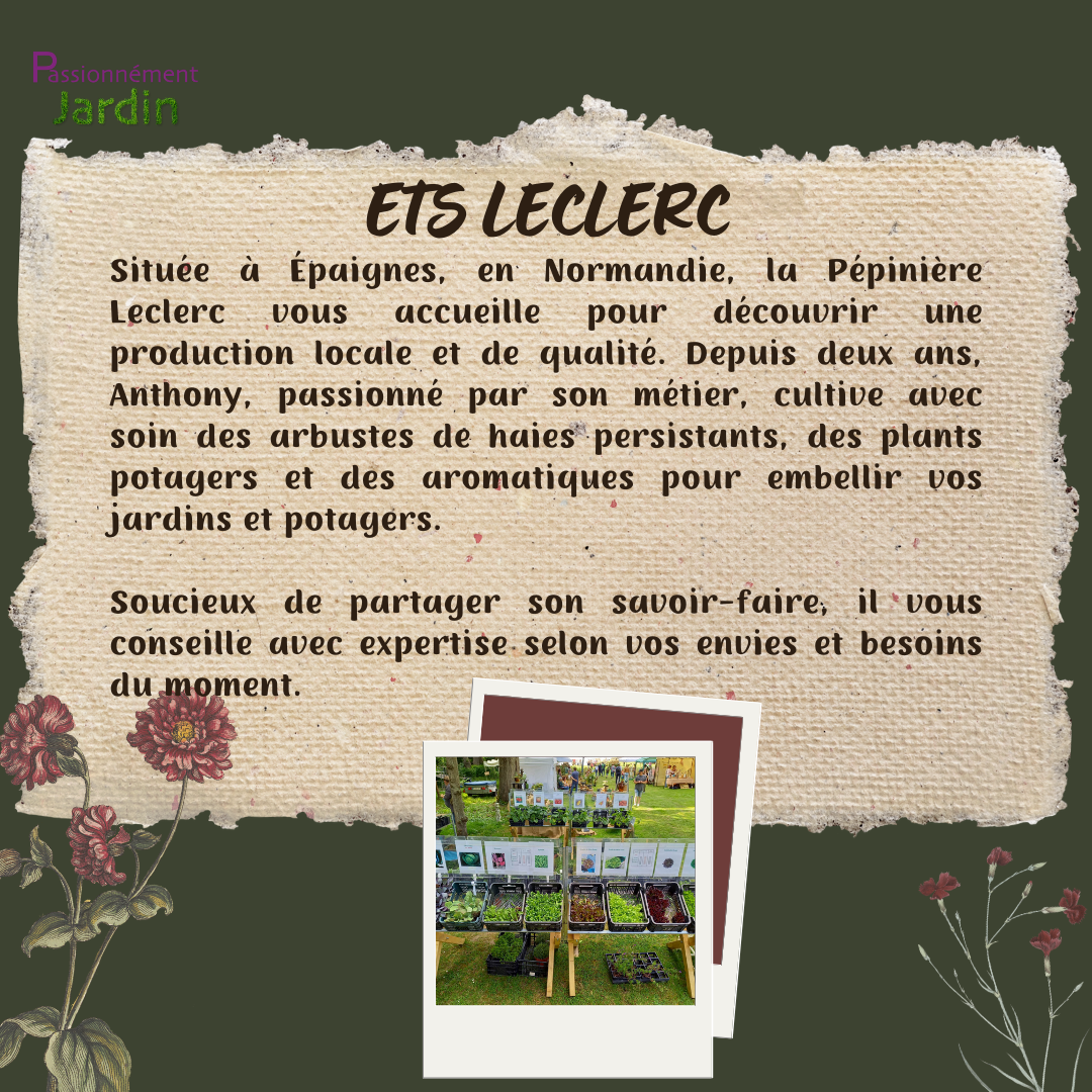 Ets-leclerc