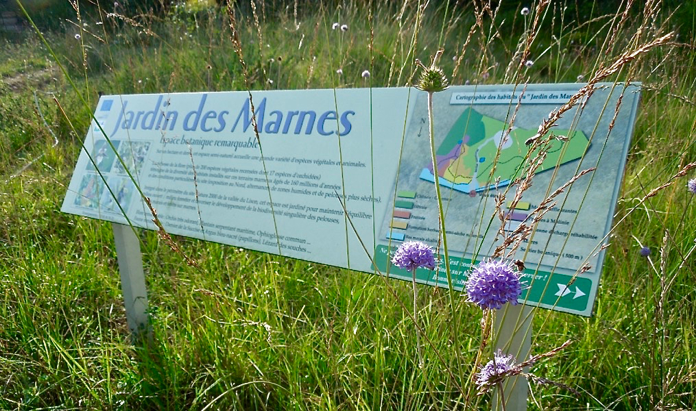 Jardin-des-Marnes-E-ternoz-1-