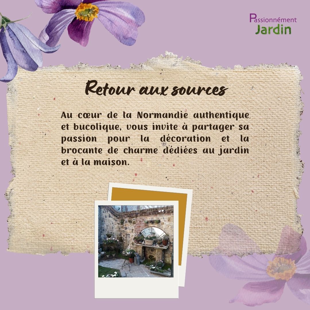 Retour-aux-sources