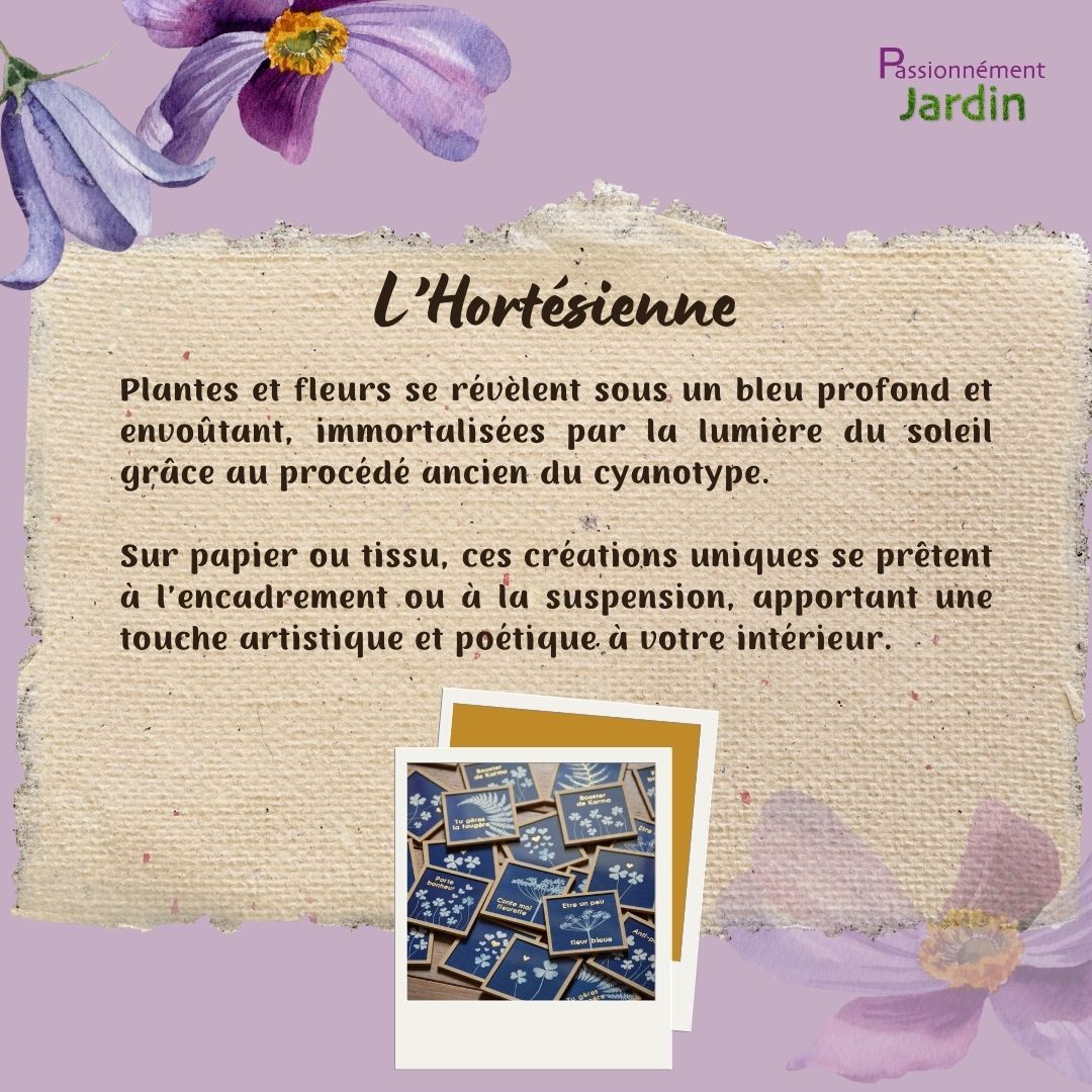 L-Hortesienne