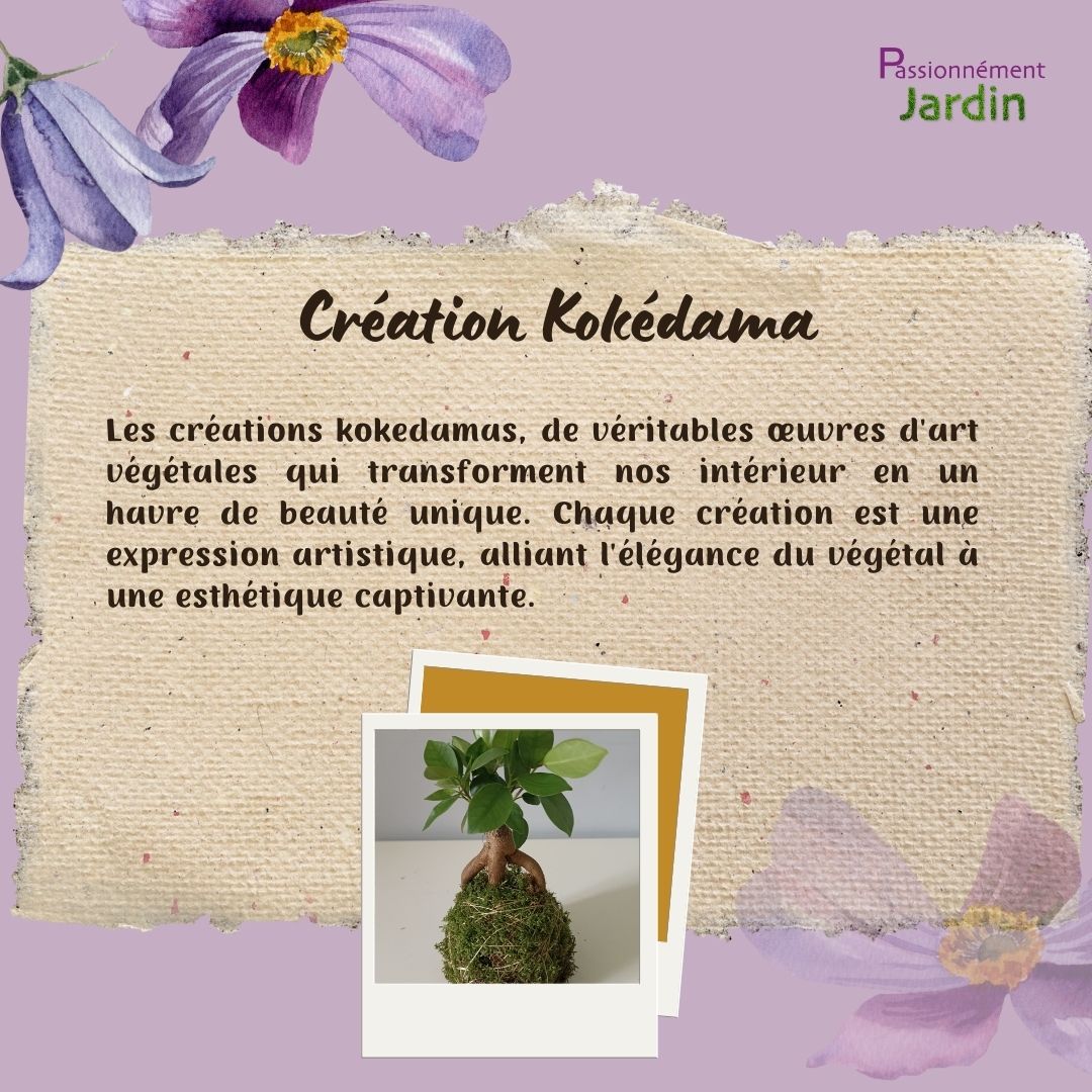 Creation-Kokedama