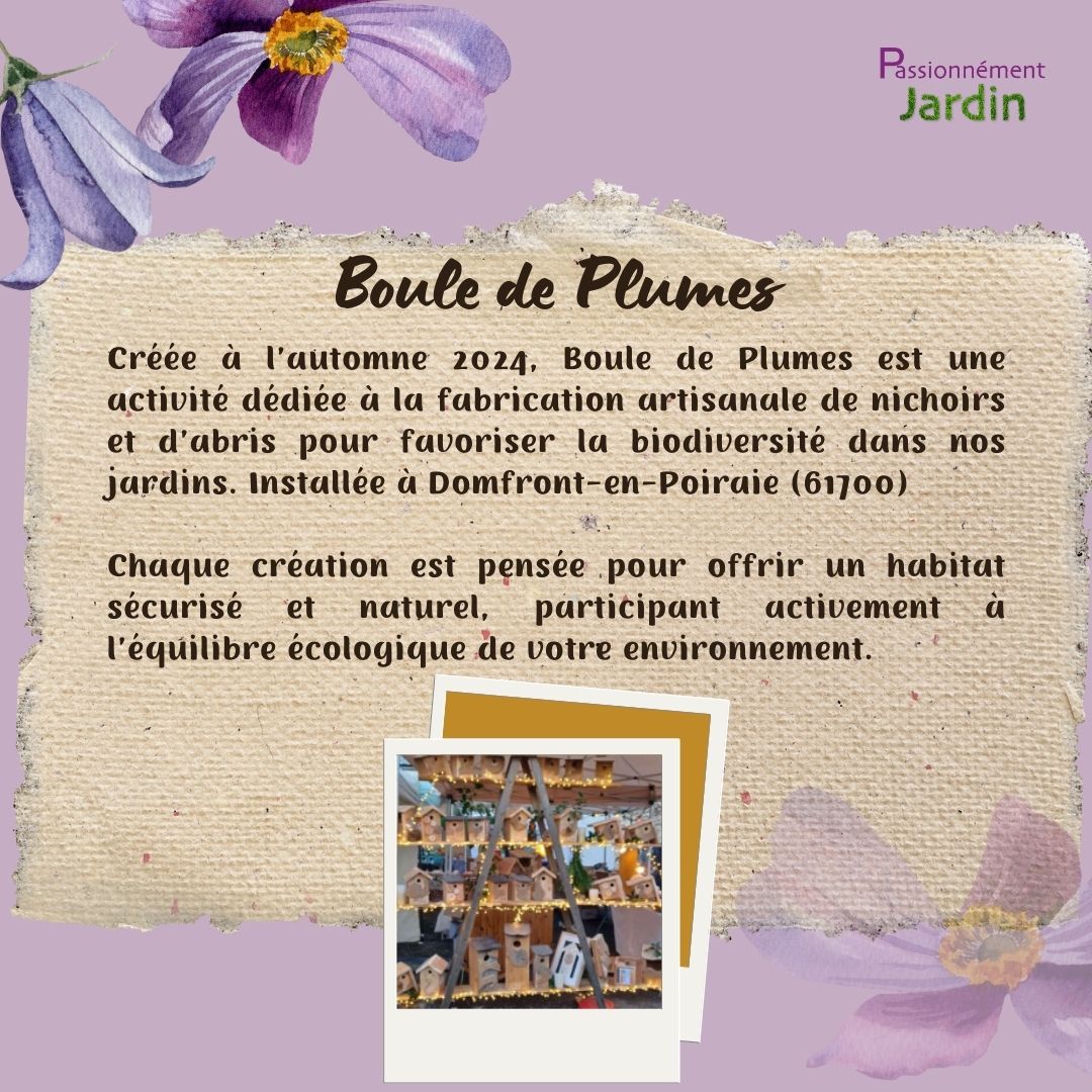 Boule-de-Plumes
