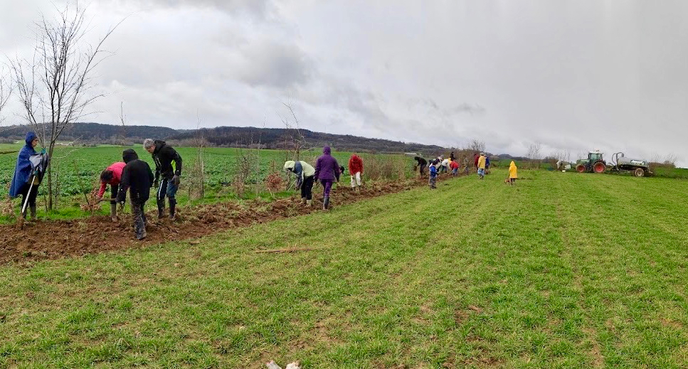 Plantation-de-haies-03-2023