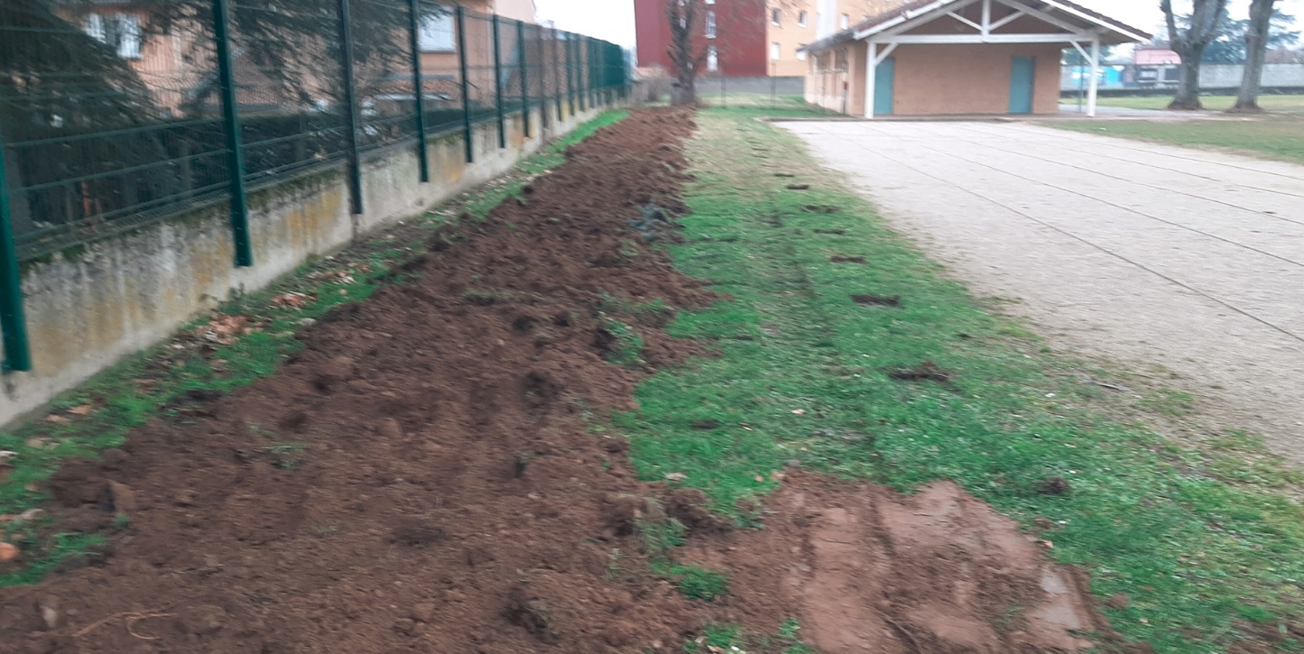 Plantations à l'école et collège la Sidoine - Trévoux