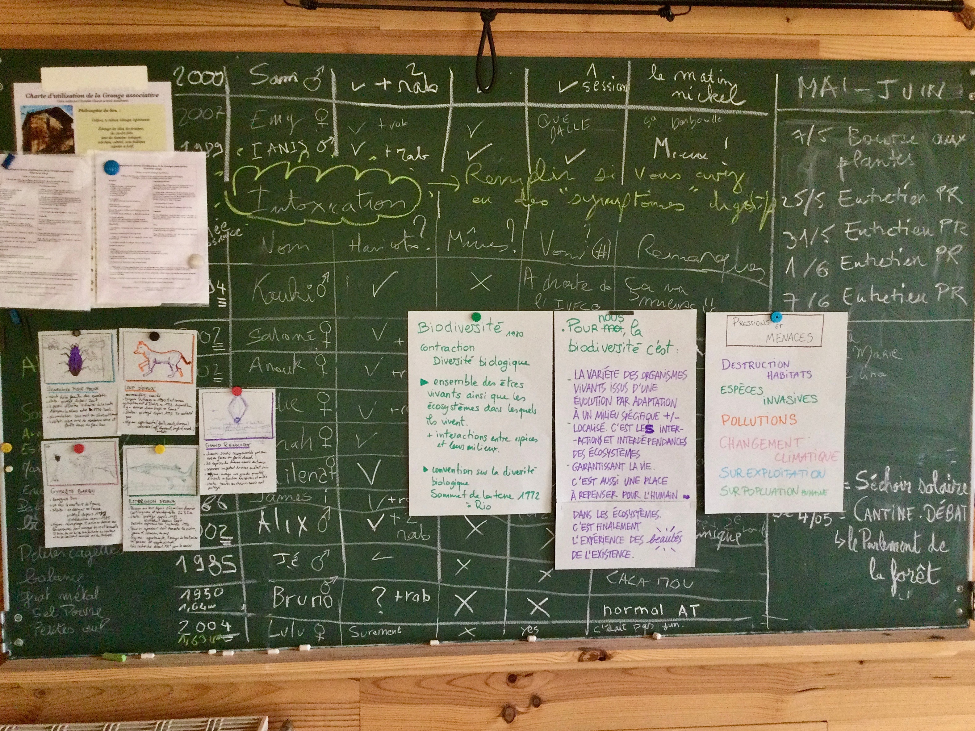 Altertour-organisation