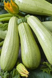 Courgette blanche