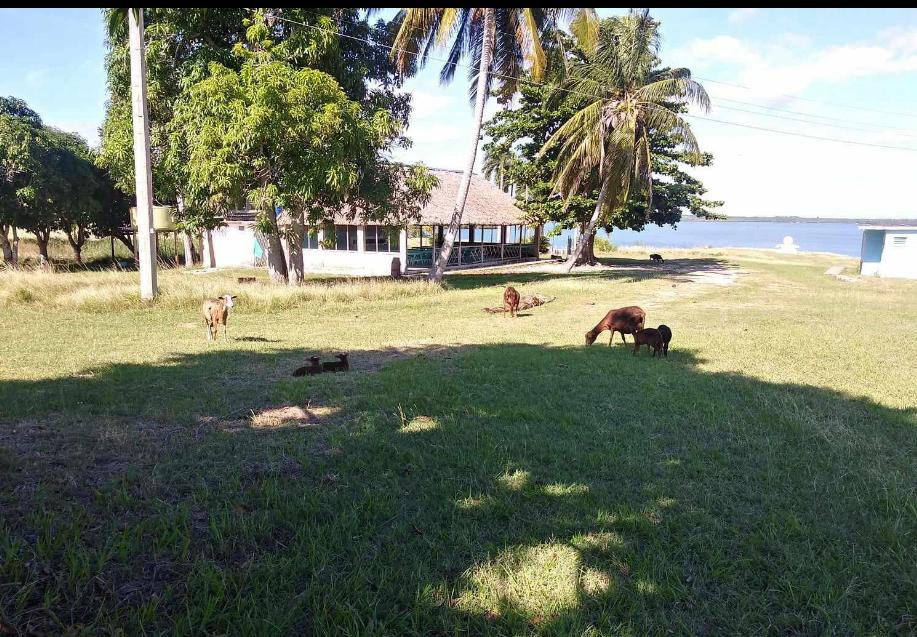 Imagen de whatsapp 2025 01 30 a las 19 14 12 71ac4c27