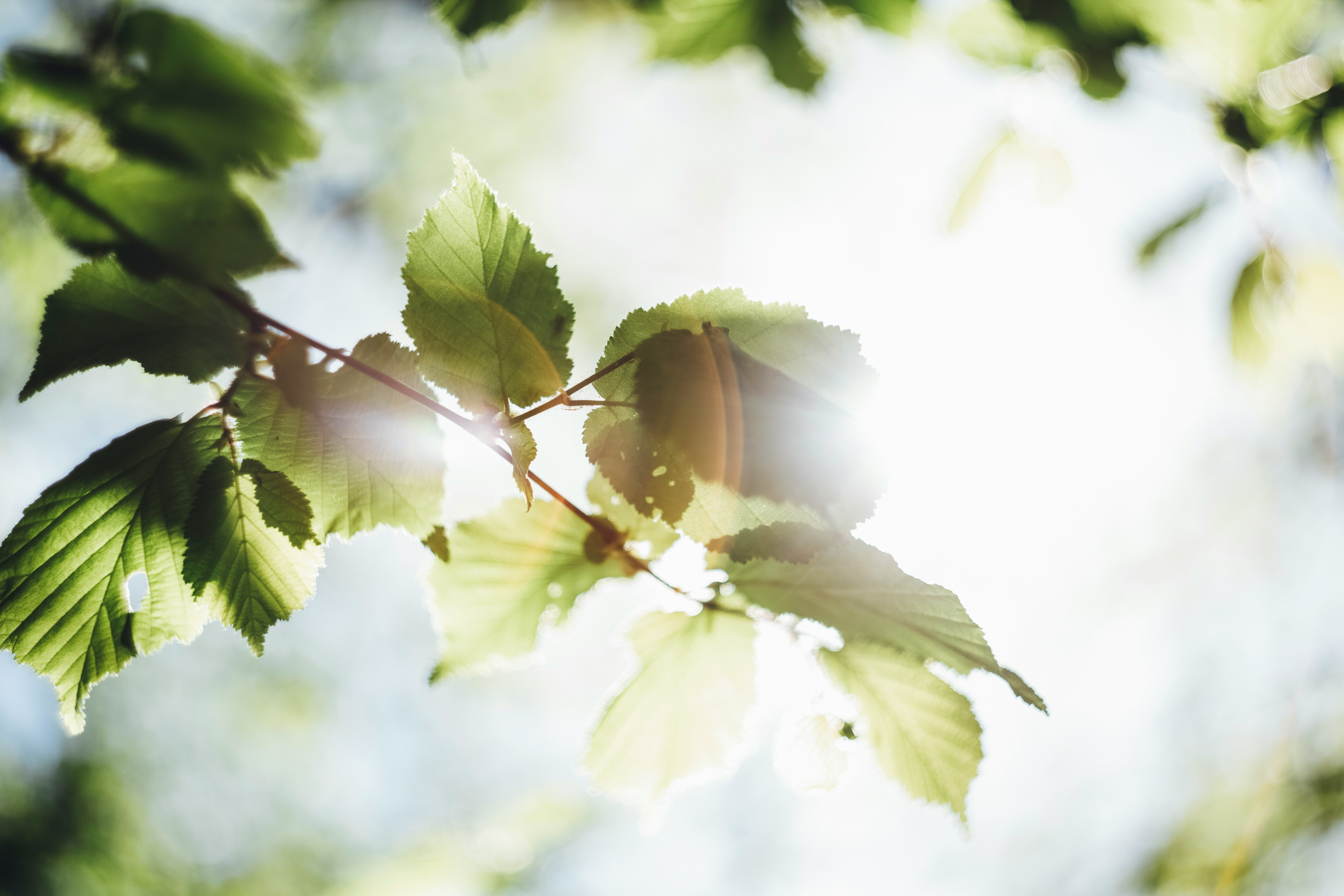 Markus-spiske-6MB jBwteIg-unsplash