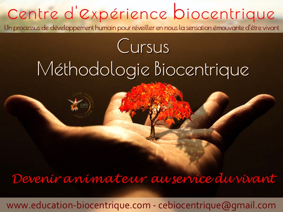 Flyer-Methodo-2025
