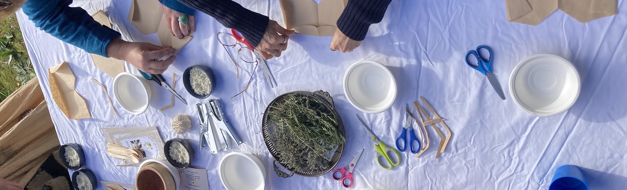 Création de sachet de tisanes, avec les plantes ramassées avec Marie Plume