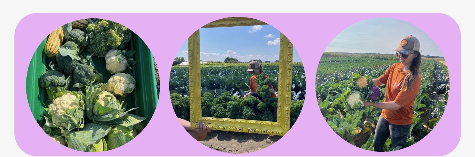 Courge-zip-39-2