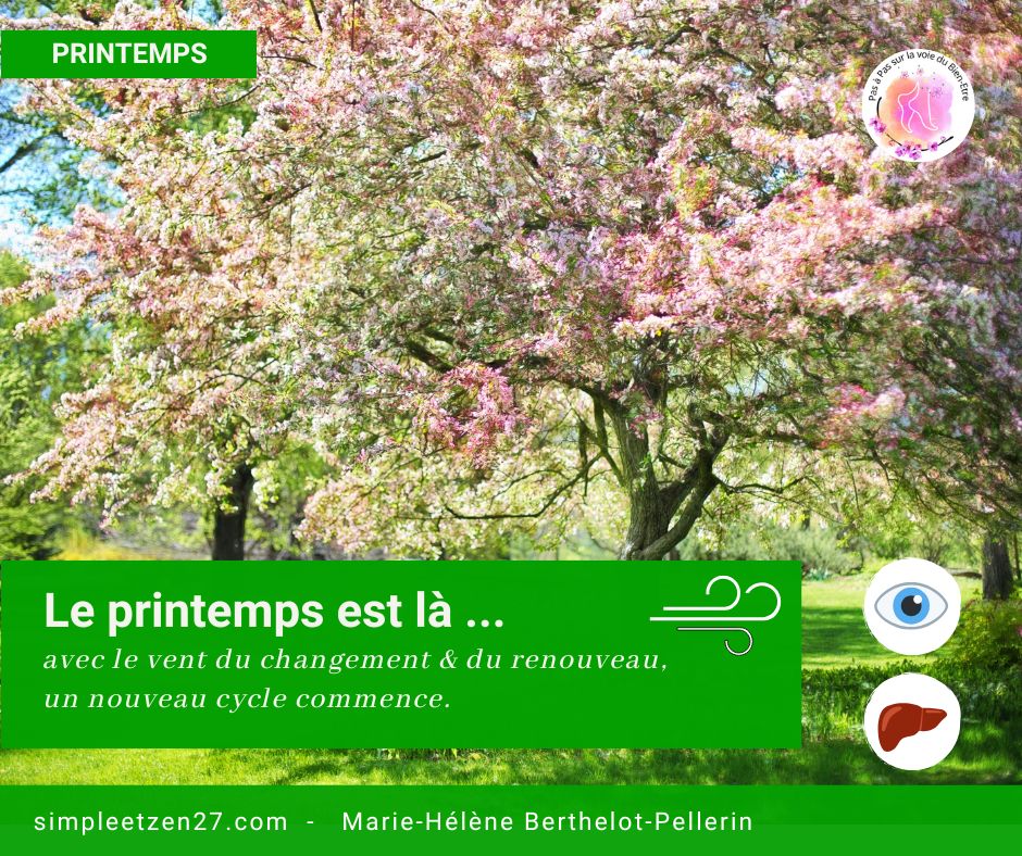 Le printemps en MTC, saison de la renaissance et de la création