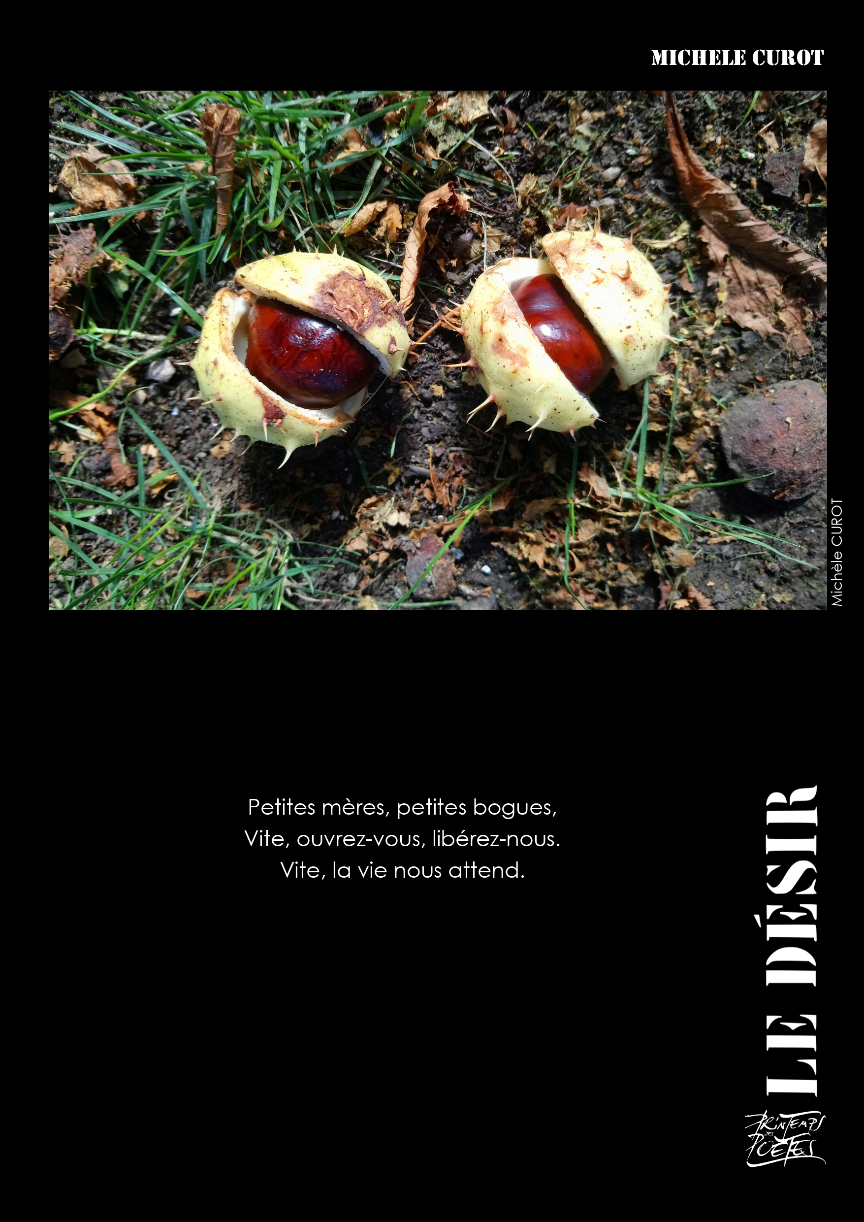 08 michele curot page 0001