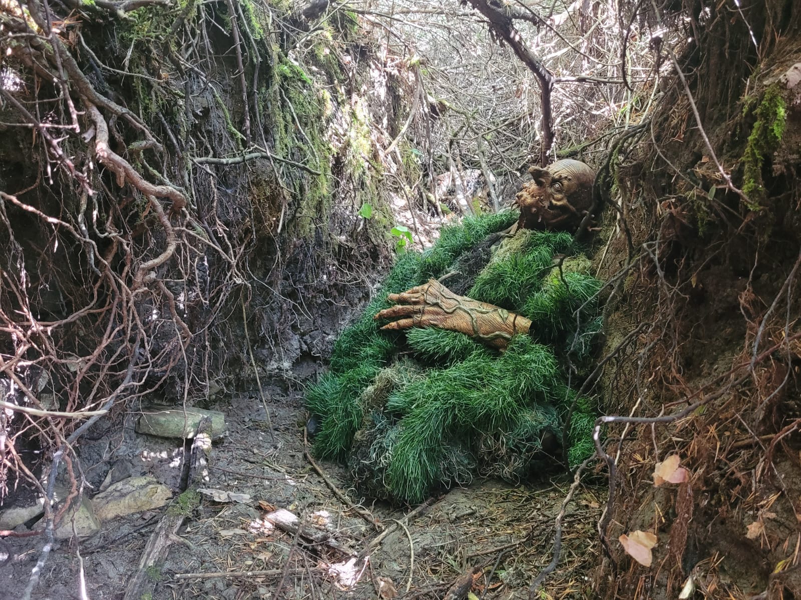 456909558 8246184865420853 5288607191396760245 n