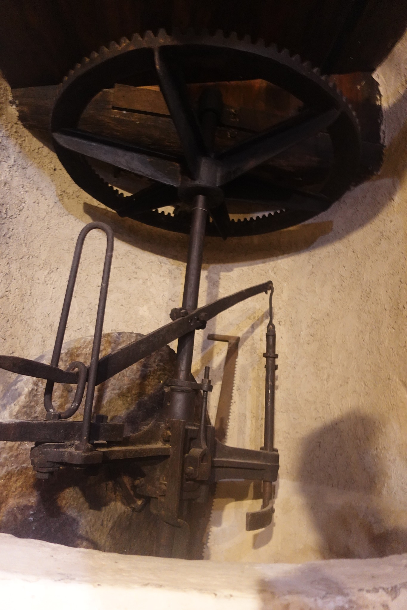 462213831 8633748559997813 549064681520266280 n