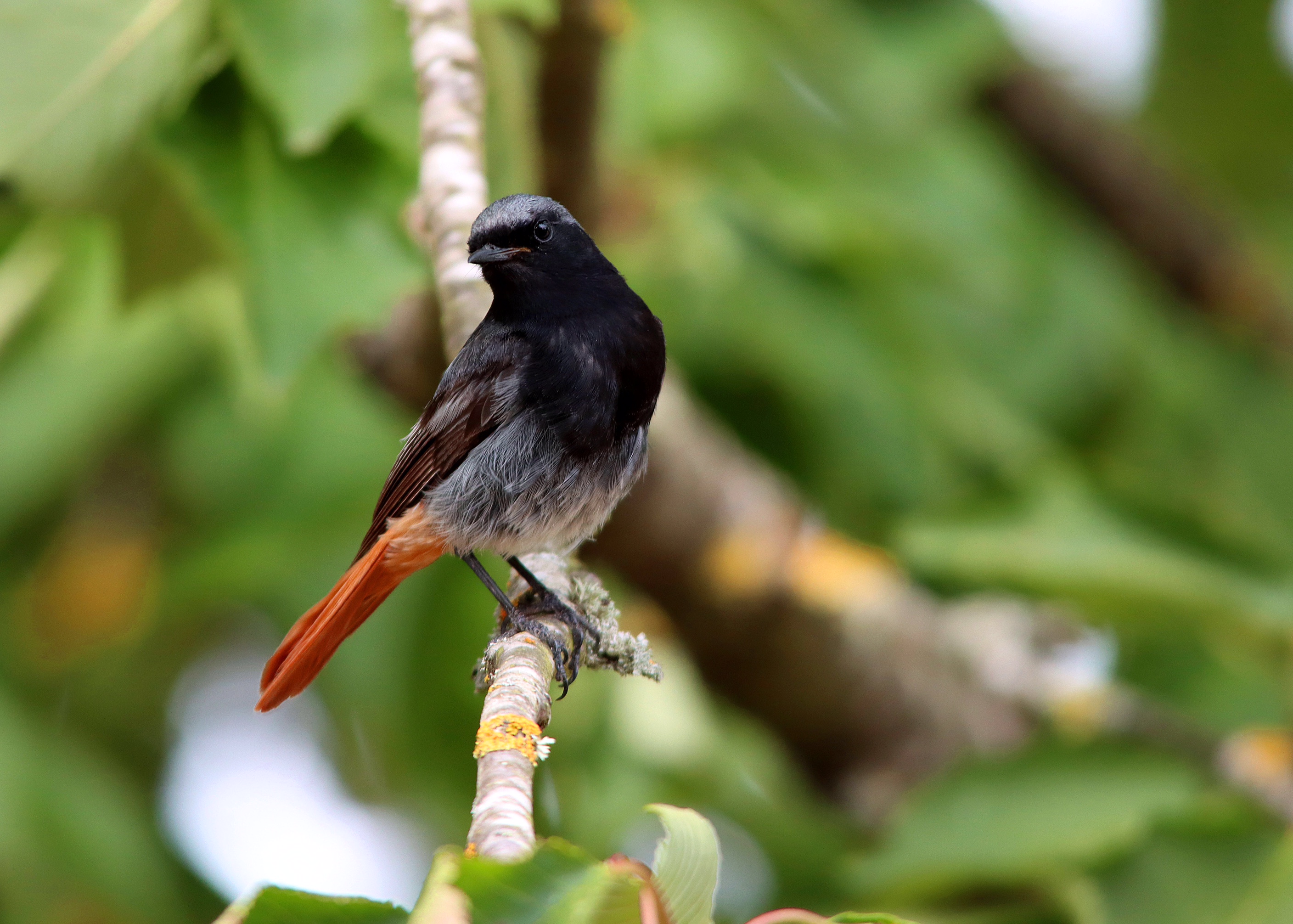 Img 0998 copie expo15x21