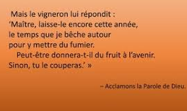 Capture-d-ecran-2025-02-13-131504