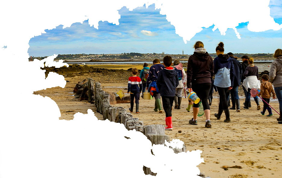 Fond-bretagne-photo-incluse-blanc