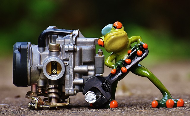 Frog-1672974 640