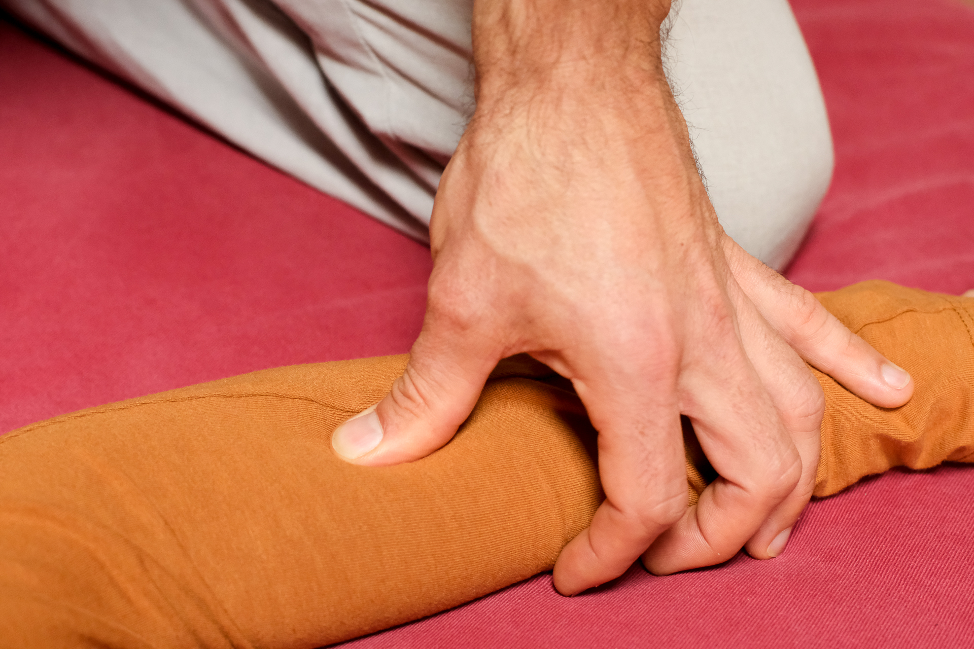 Shiatsu nico rolin color web 046