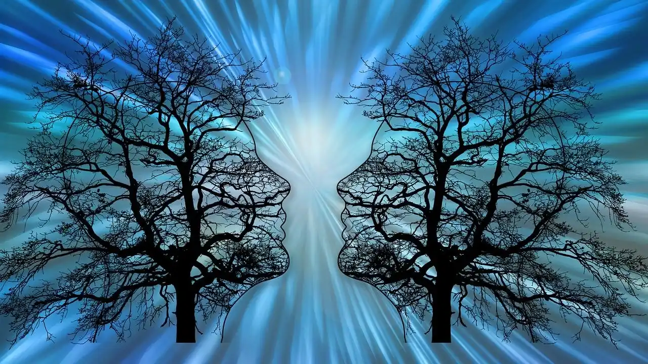 arbres-visages-pixabay