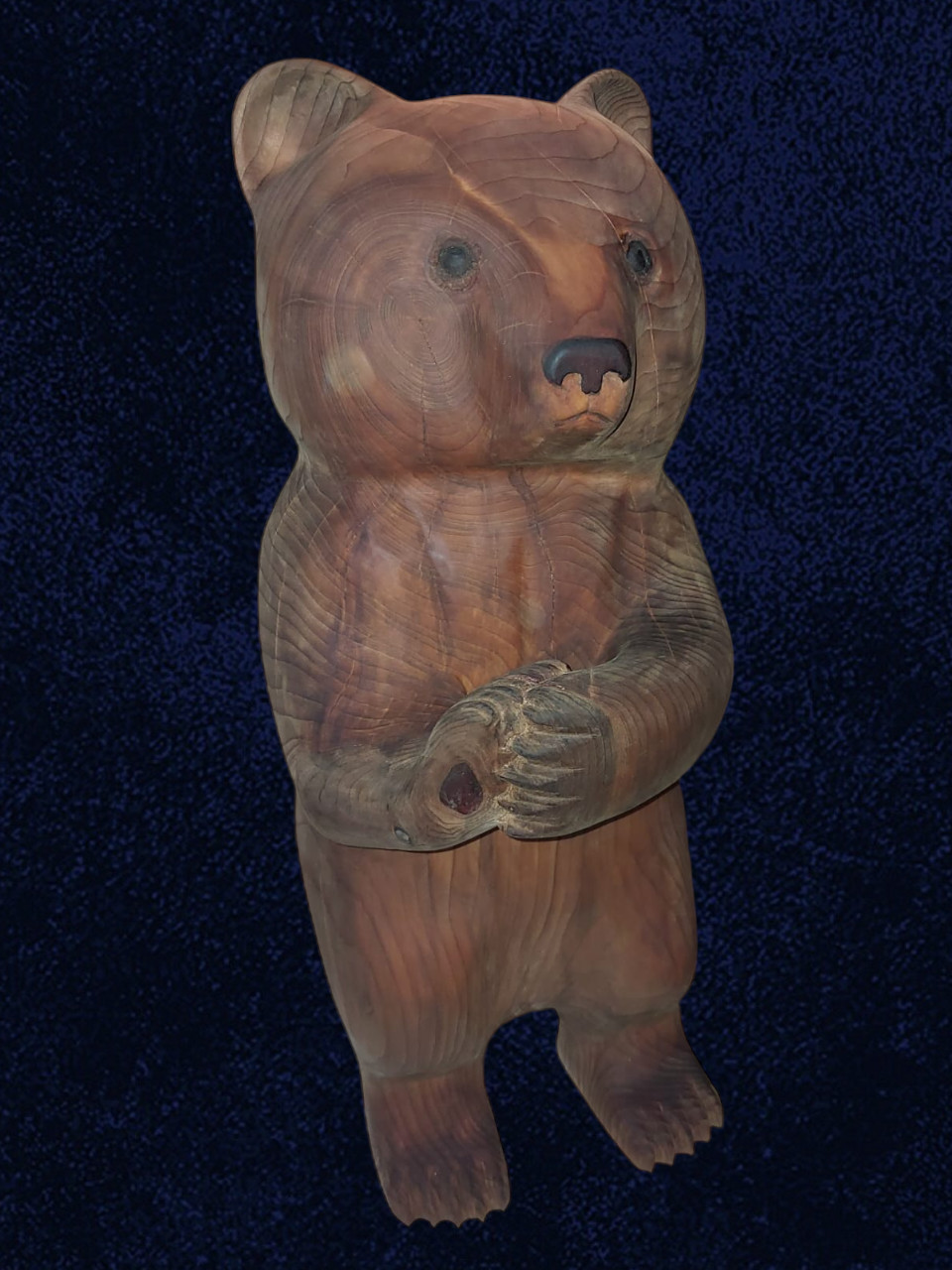 Ourson cedre