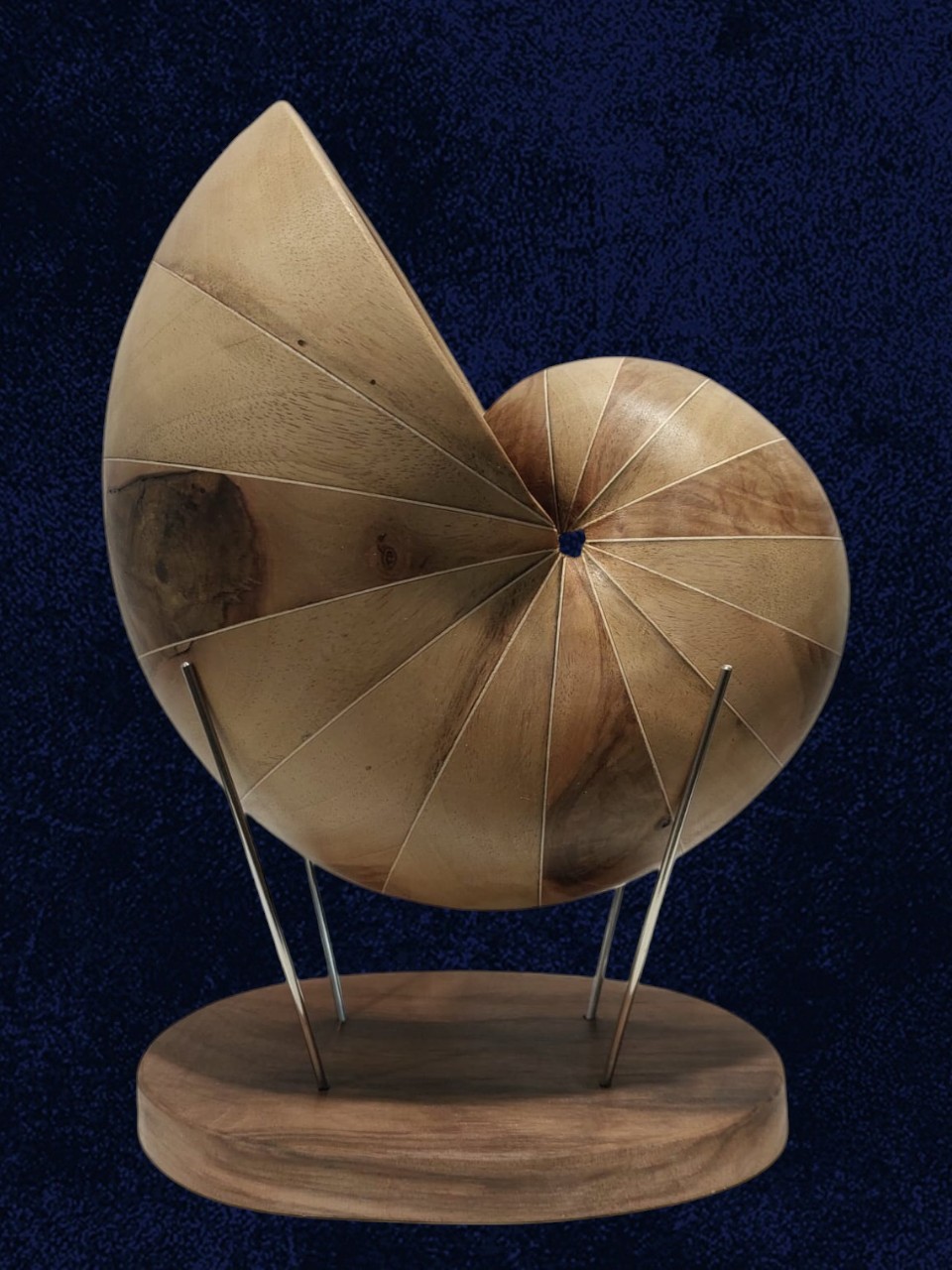 Coquille graphique photoroom