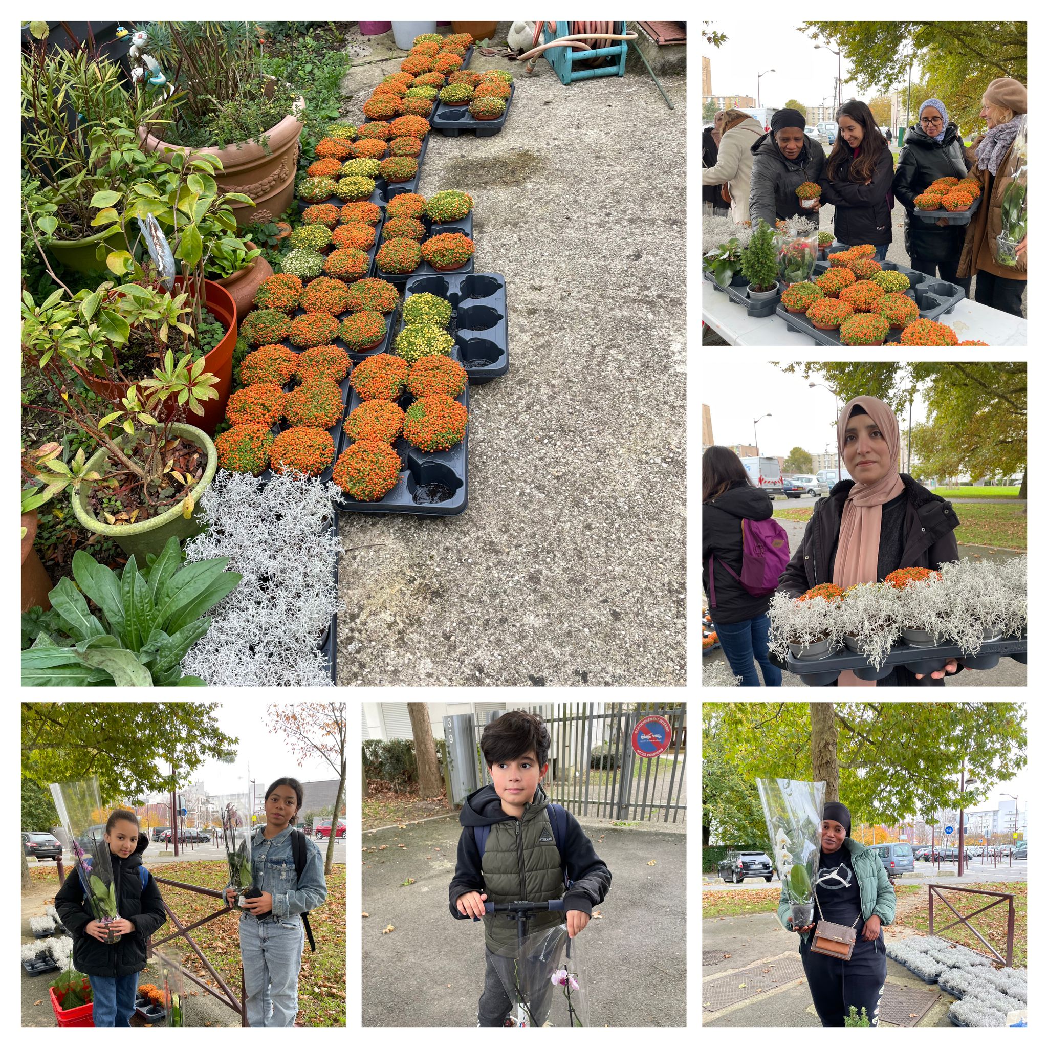 Nos distributions de fleurs continuent de faire des heureux