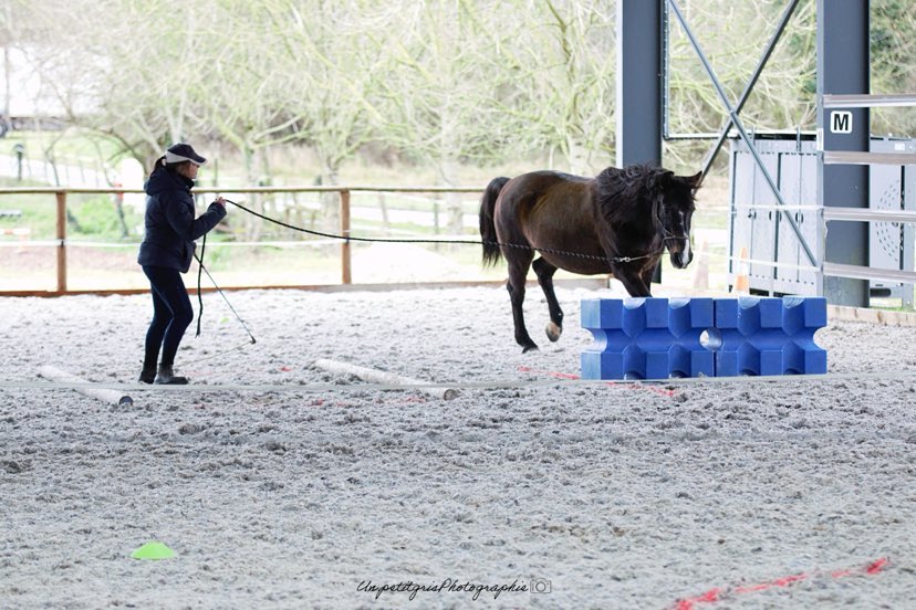 479434387 1026476959310421 1499752102867418807 n