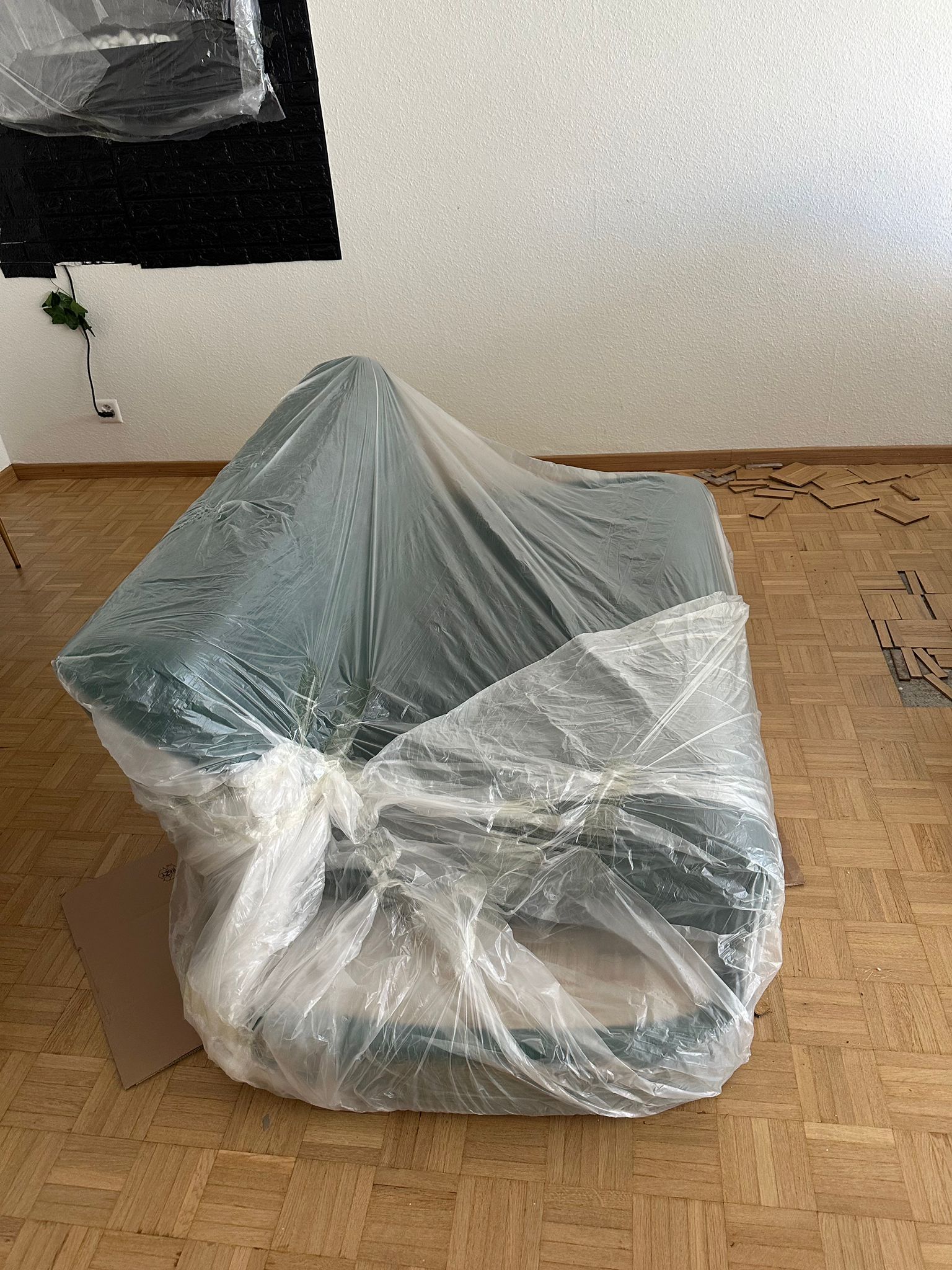 Photo 2025 02 11 16 35 19