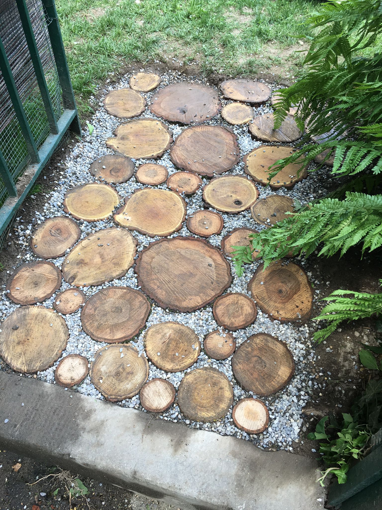Photo 2025 02 11 14 41 47