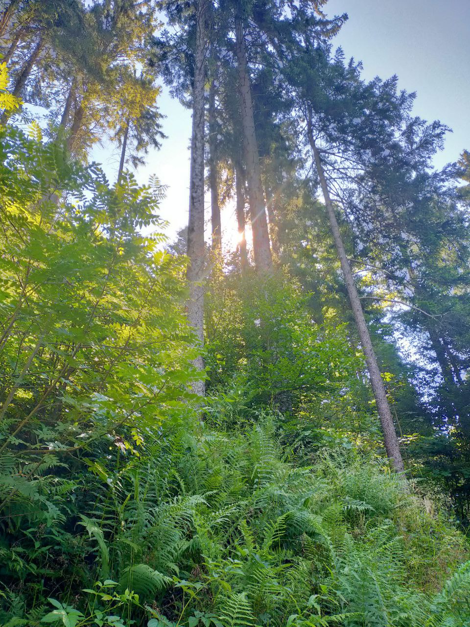 Photo 2025-02-22 18-57-05