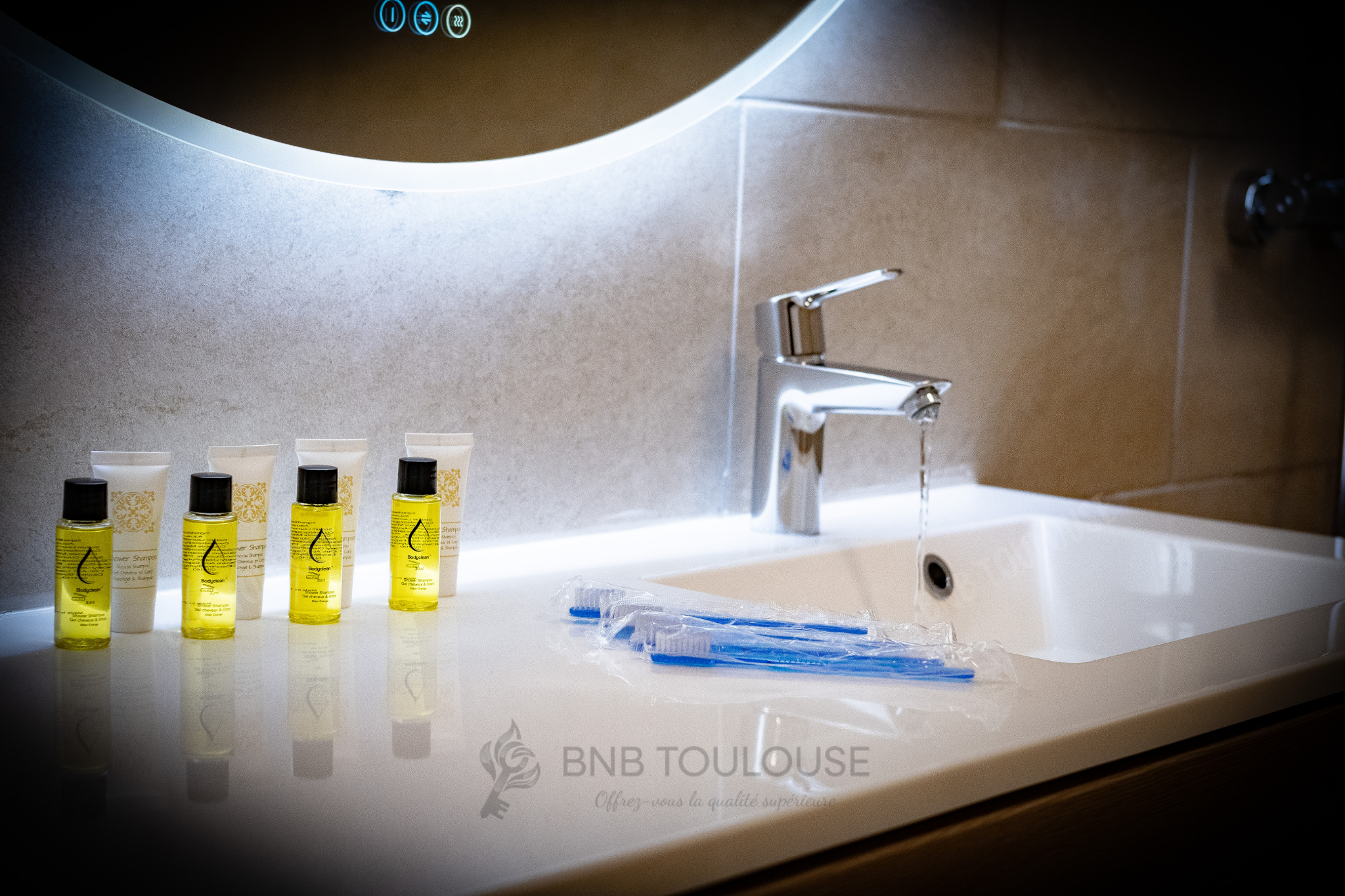 Villa paradise aussonne 31 