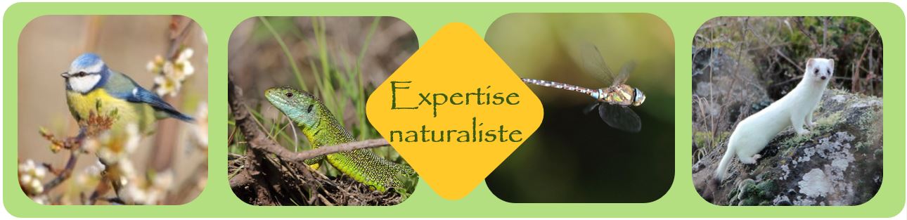 Expertise-naturaliste