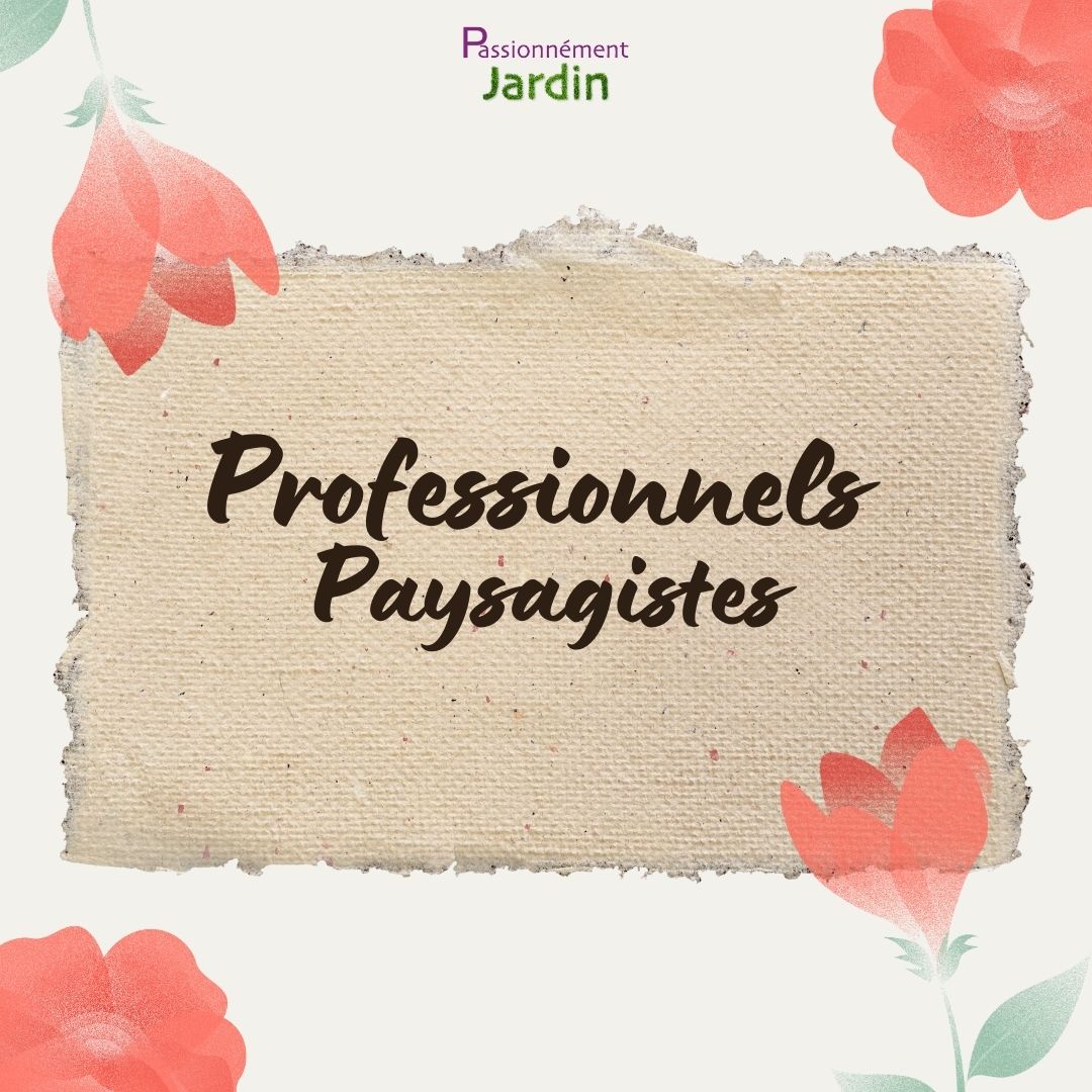Presentation