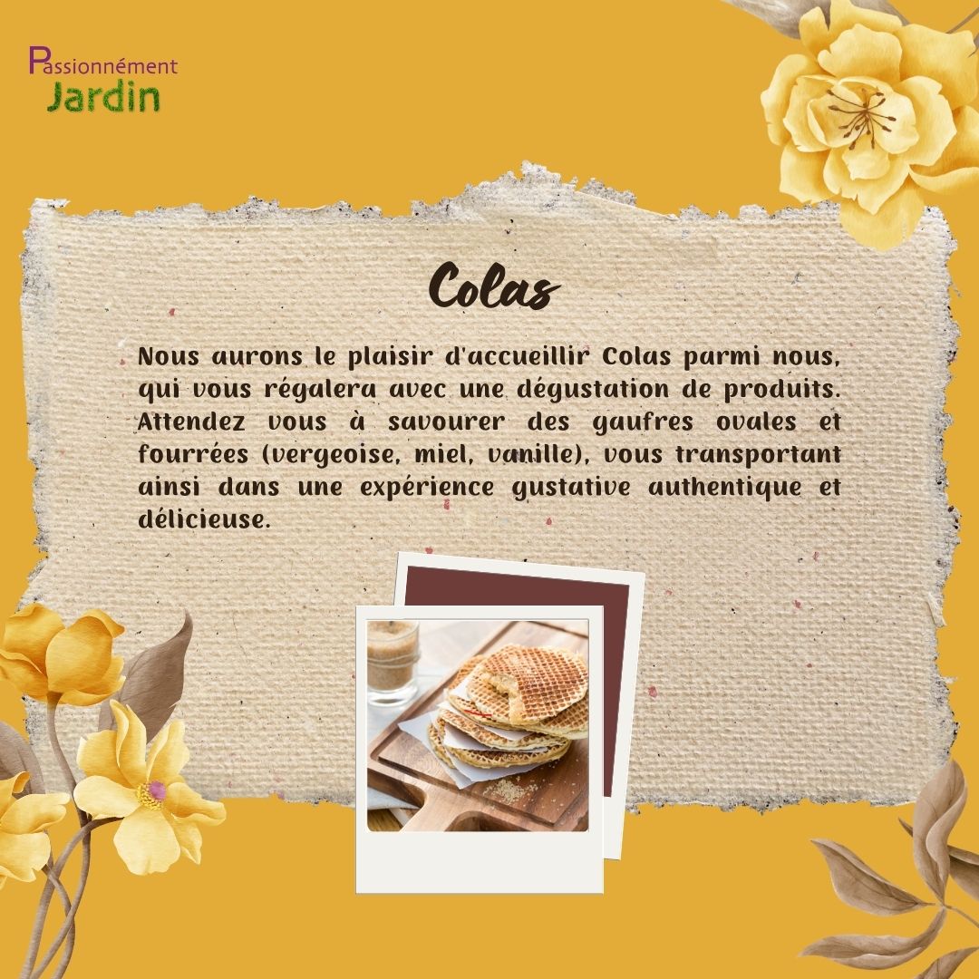 Colas
