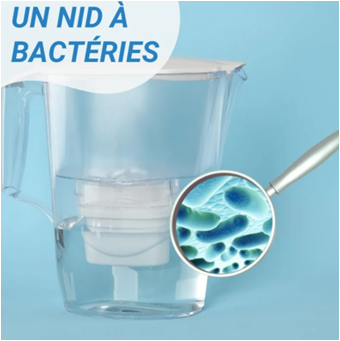 Un-nid-a-bacteries