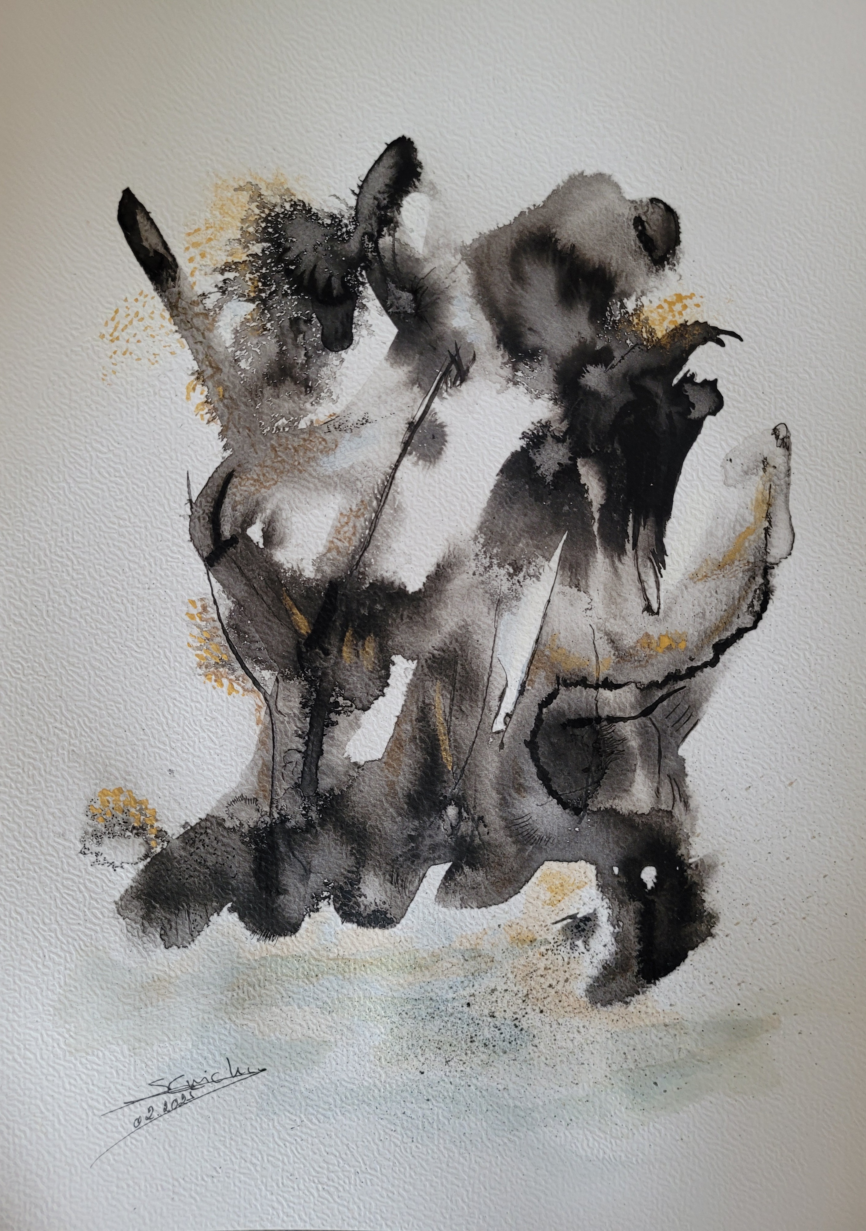 Série encres et aquarelles  