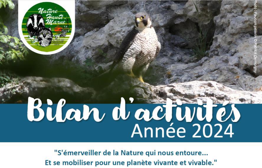 Bilan-2024