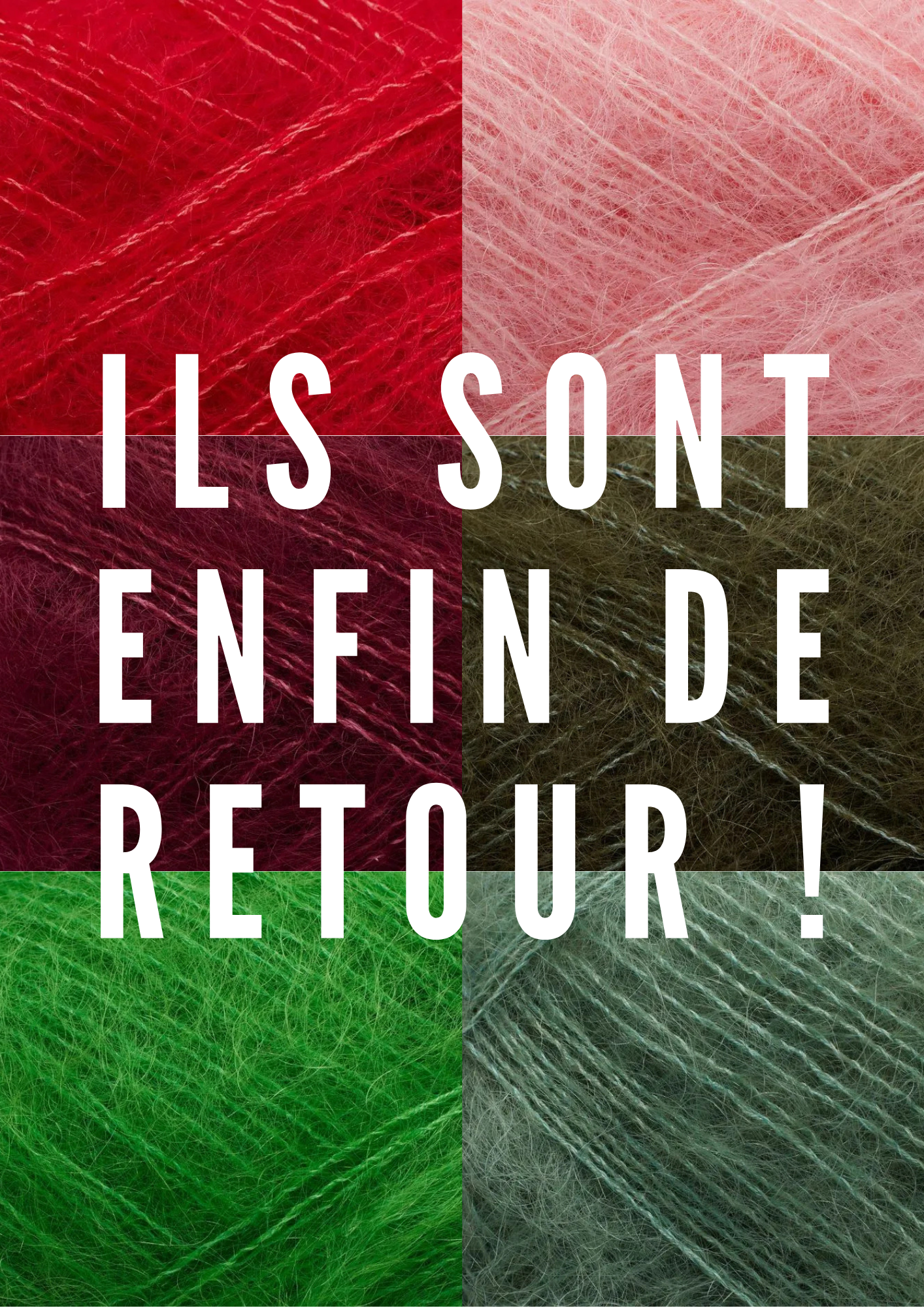 Ils-sont-de-retour-