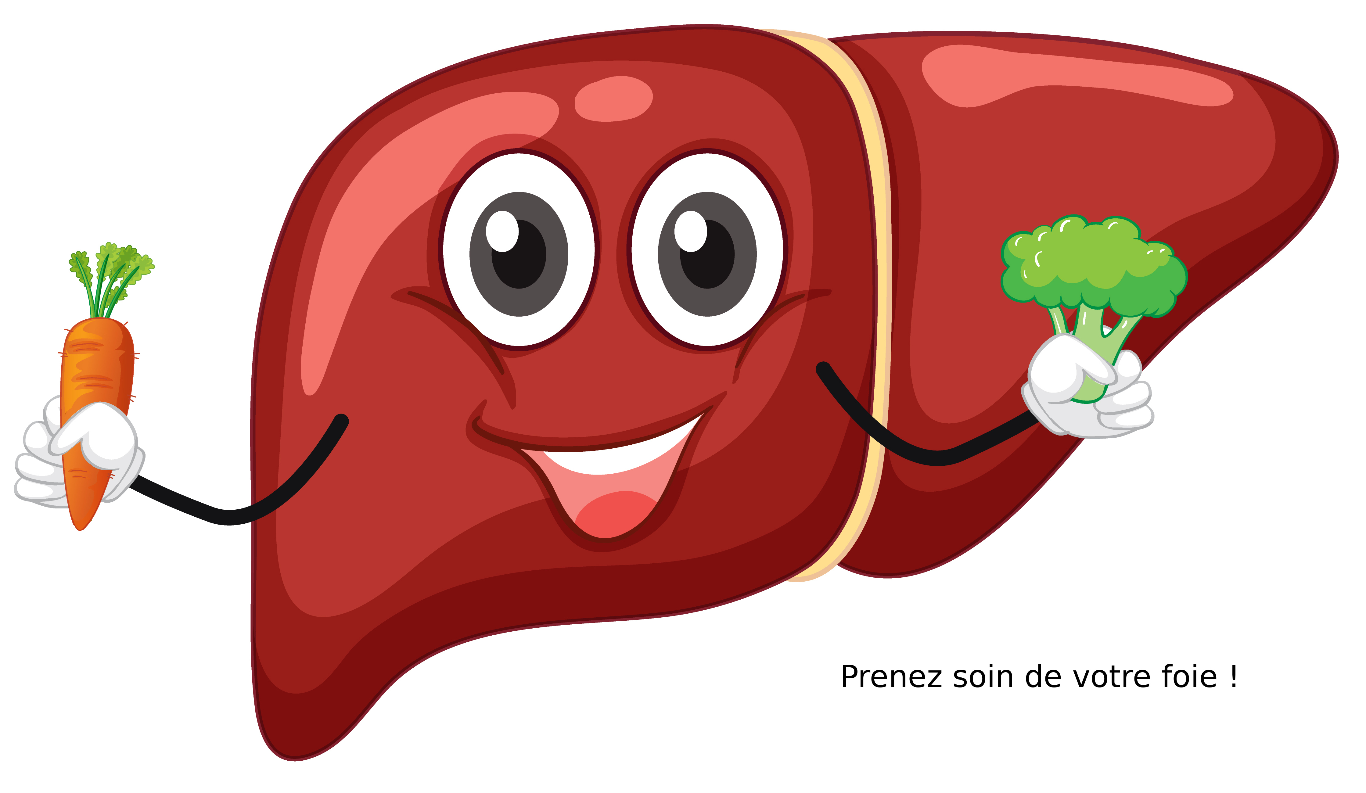 Le Foie : Pourquoi en prendre soin et Comment ?