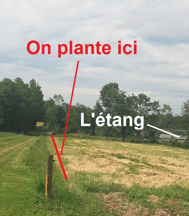 Mercredi 5 mars - Dernière plantation !