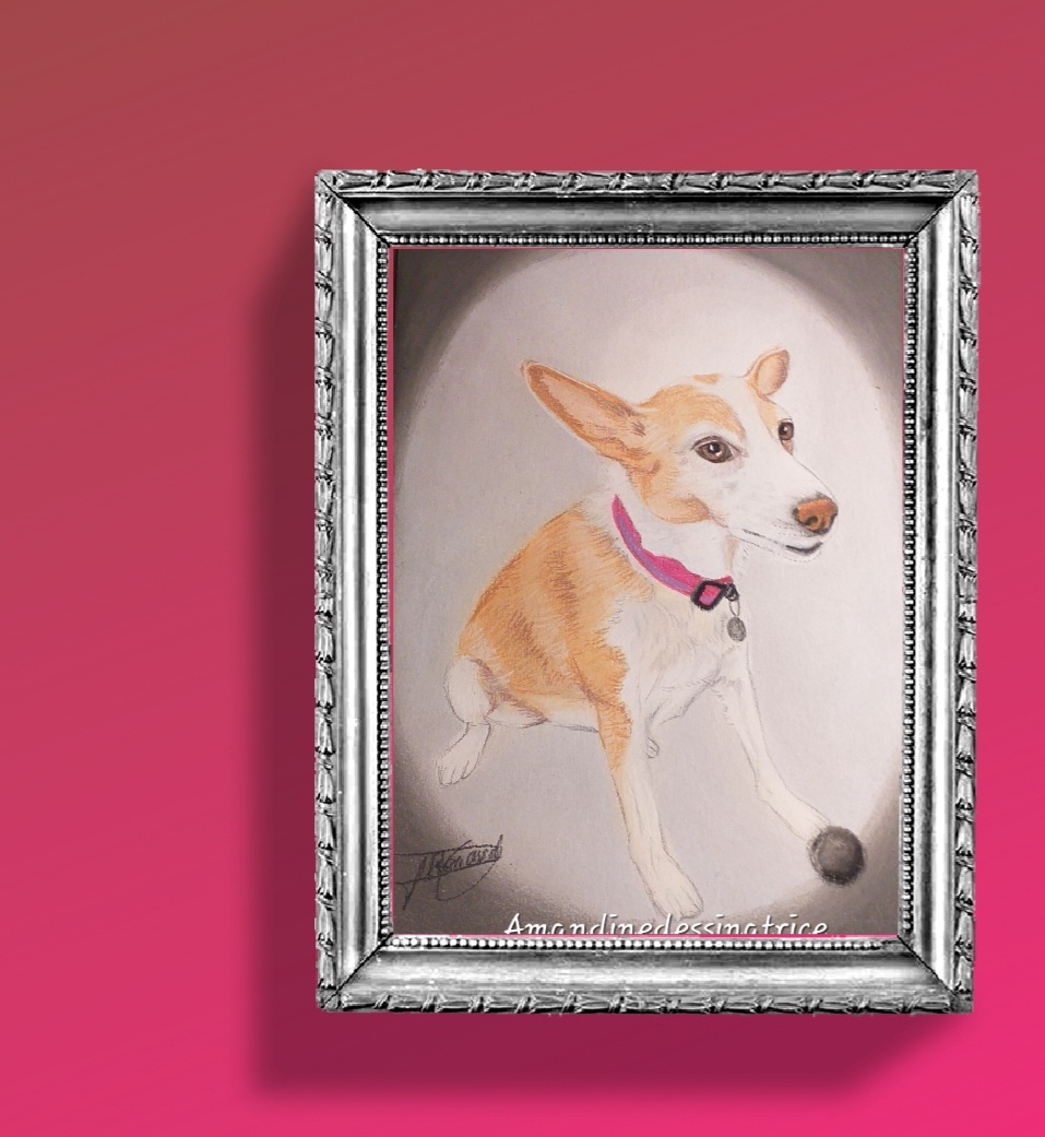 Screenshot 20250226 075920 FrameArt-1-