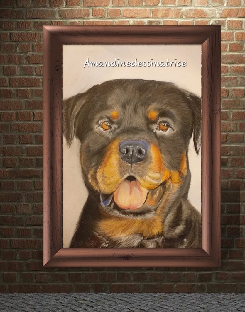 Screenshot 20250226 080047 FrameArt-1-