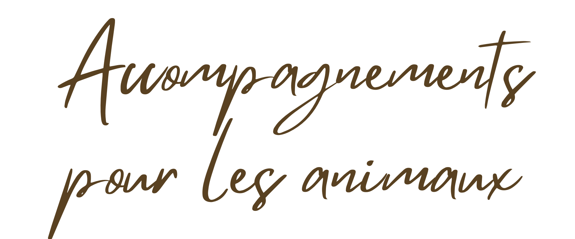Qui-suis-je-10-