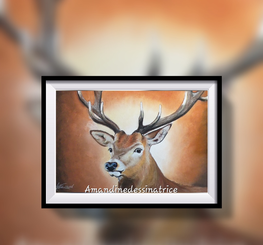 Screenshot 20250301 111035 FrameArt