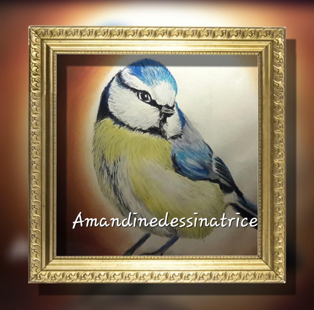 Screenshot 20250301 104613 FrameArt