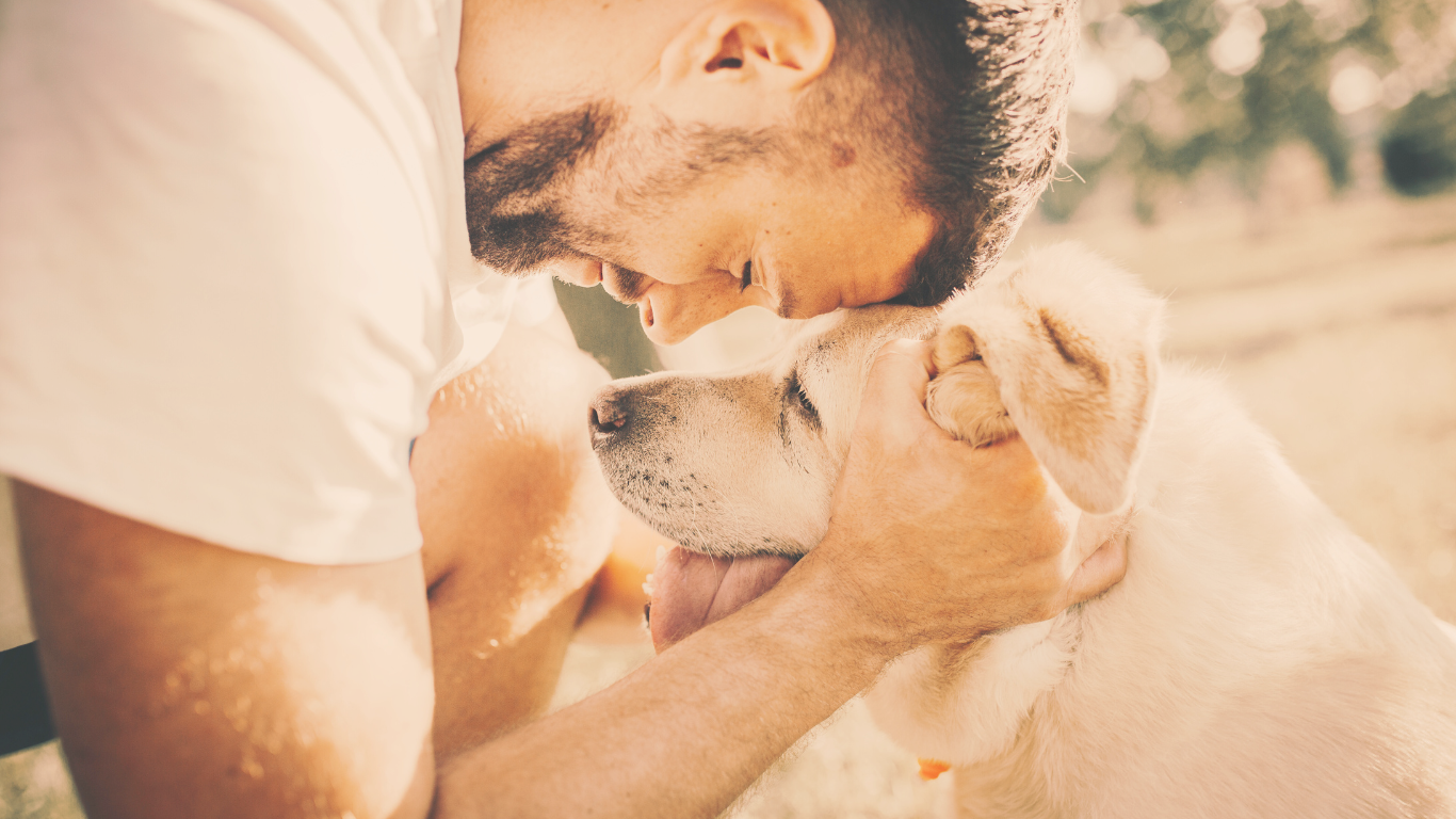 communication animale- recevez des messages de votre animal